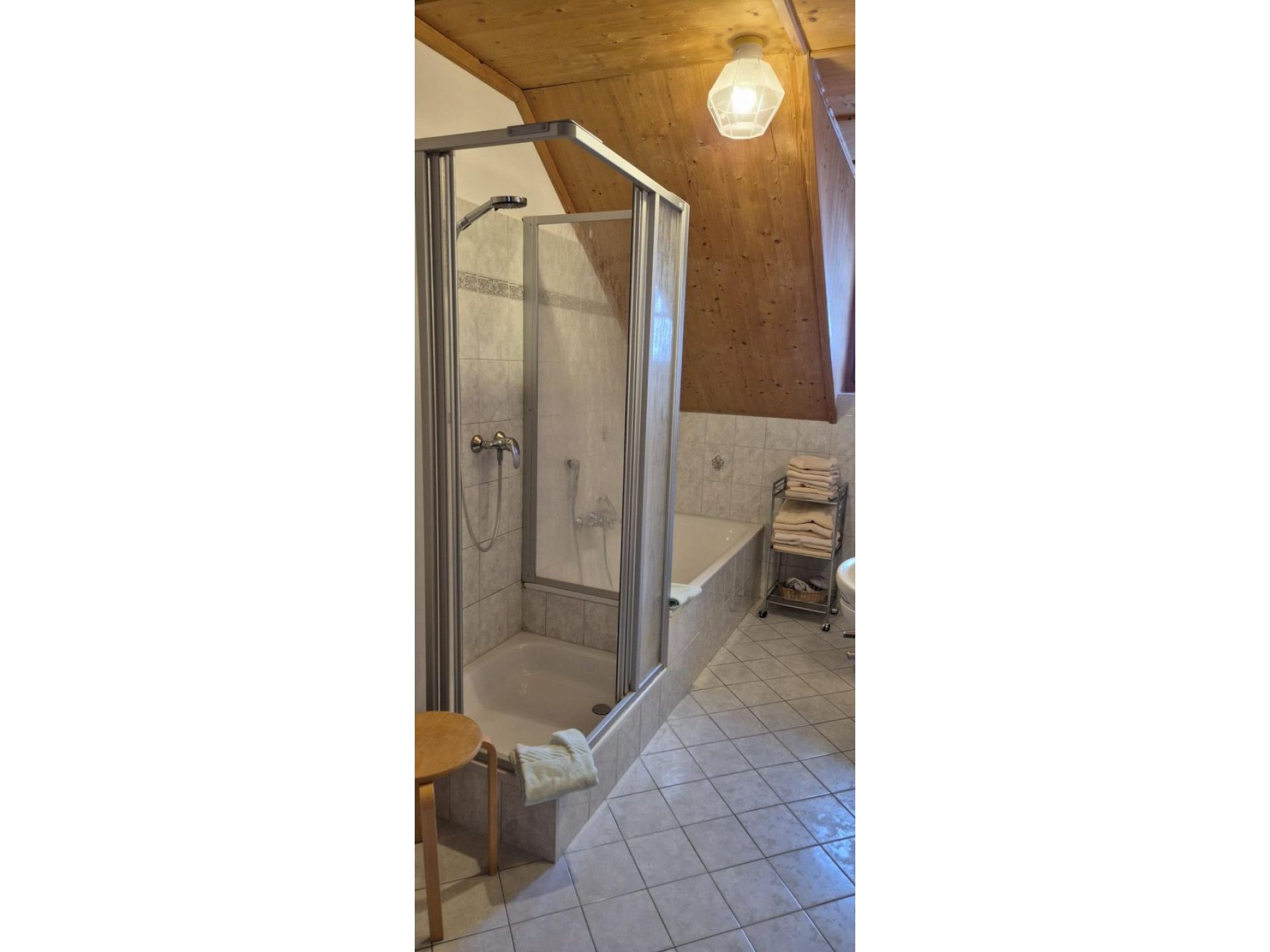 Badewanne, Dusche