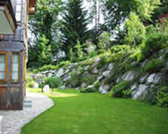 Natur pur Natur pur